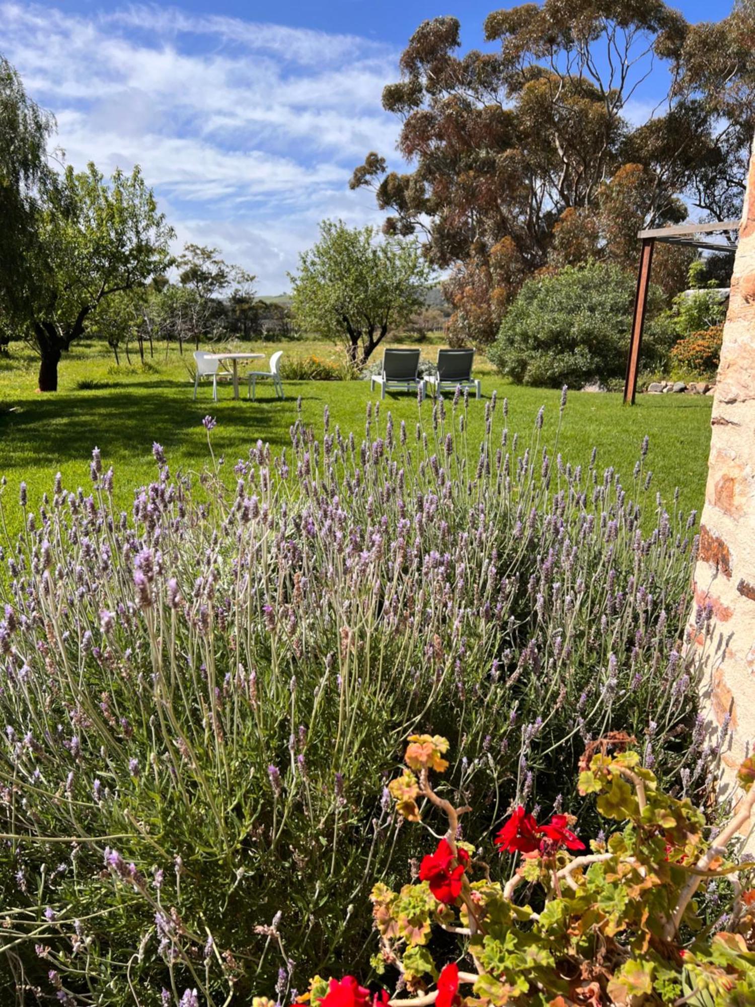 The Old Chaff Mill Organic Vineyard Retreat Bed & Breakfast Sellicks Hill Exterior photo